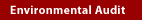Environmental Audit